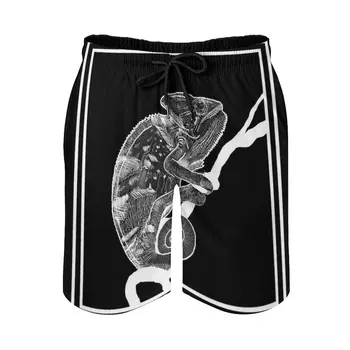 Мужские пляжные шорты Chameleon с сетчатой подкладкой, штаны для серфинга, плавки, животное-хамелеон, рептилия, Оригинальная Красивая идея